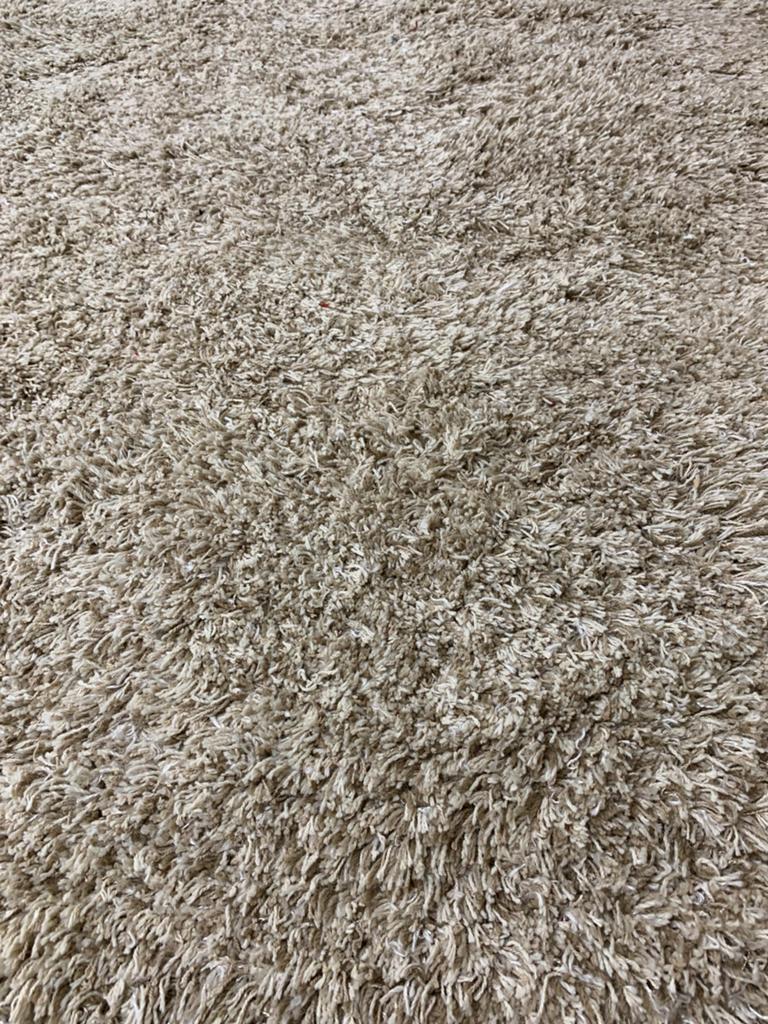 250x300 TERRAMAR Beige Karpet/Vloerkleed/Tapijt 799 Euro!