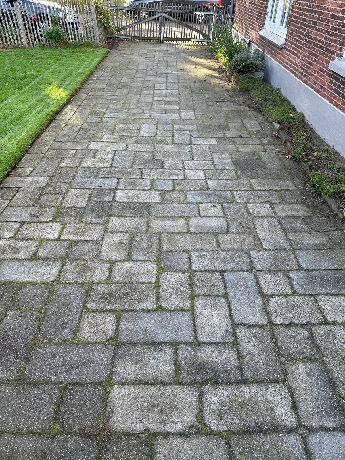 Gezocht: Betontegels wildverband 40x20, 30x20, 20x20, 8cm, Overige materialen, Gebruikt, Ophalen of Verzenden, 20 tot 40 cm