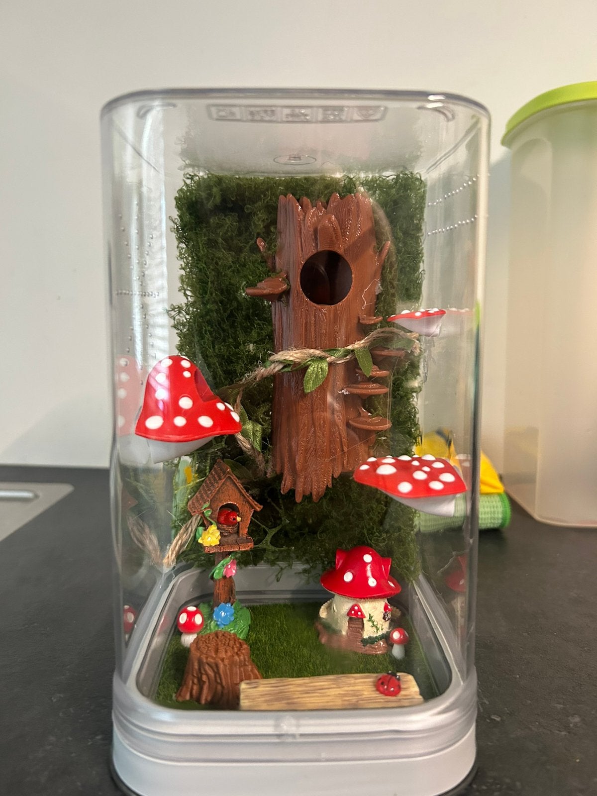 springspin bos thema terrarium