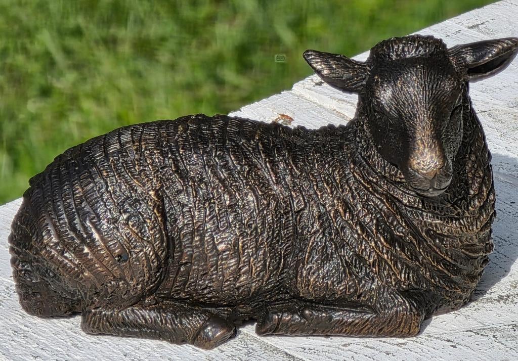 SCHAAP / 2 MODELLEN / BRONZEN BEELDEN, Dierenbeeld, Nieuw, Info@huisentuindecoratiemarie.nl, Huis en tuin decoratie marie