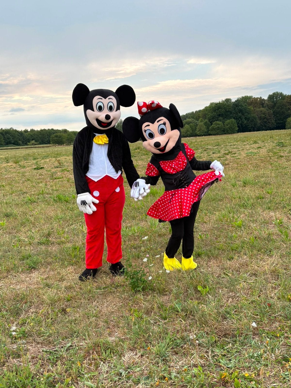 Mickey en Minnie Mouse kostuums te huur, Ophalen of Verzenden, Zo goed als nieuw