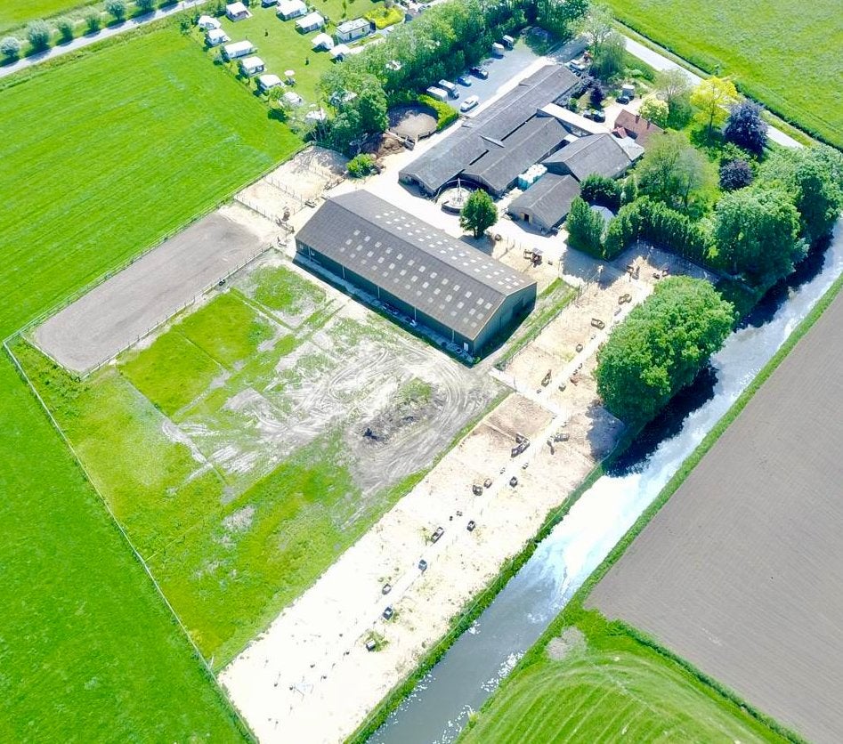 Stalling te huur, Dieren en Toebehoren, Stalling en Weidegang, Stalling