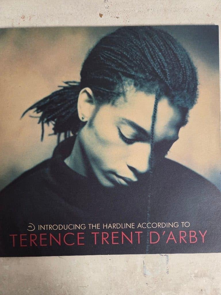 Vinyl lp TERENCE TRENT D'ARBY: INTRODUCING THE HARDLINE, Beschermende buitenhoes, LP, Gebruikt, Pop