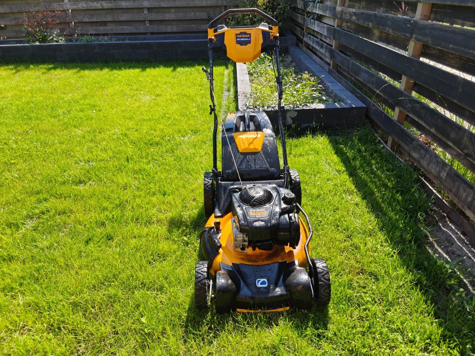 Cub Cadet LM3 CR53S grasmaaier zelfrijdend, Ophalen, Gebruikt, Mulchfunctie, Benzine-grasmaaier