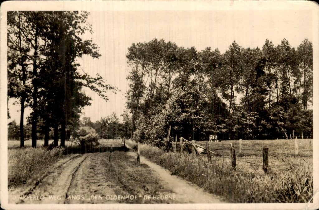 Dinxperlo - Weg - Langs den Oldenhof De Heurne, Ophalen of Verzenden, 1920 tot 1940, Gelopen, Gelderland