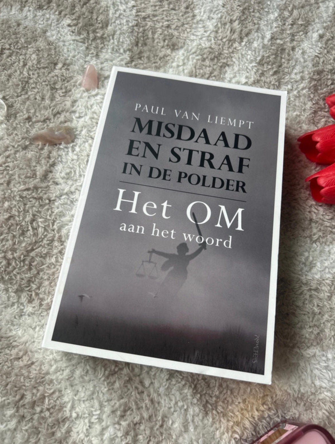 Paul van Liempt - Misdaad en straf in de polder, Sociale wetenschap, Zo goed als nieuw, Paul van Liempt, Ophalen of Verzenden