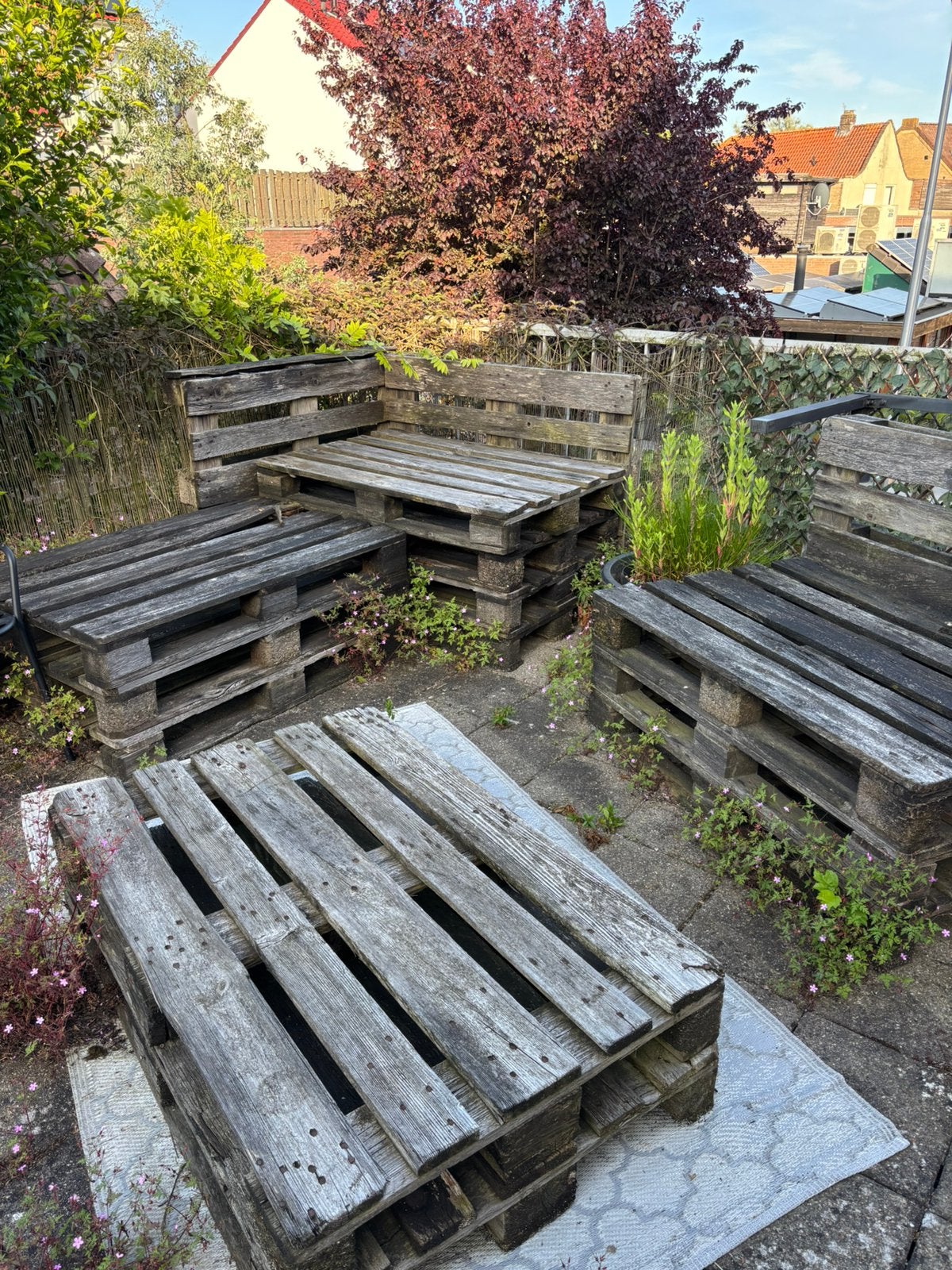 Hout gratis af te halen, Ophalen, 25 tot 50 mm, Zo goed als nieuw, Minder dan 200 cm