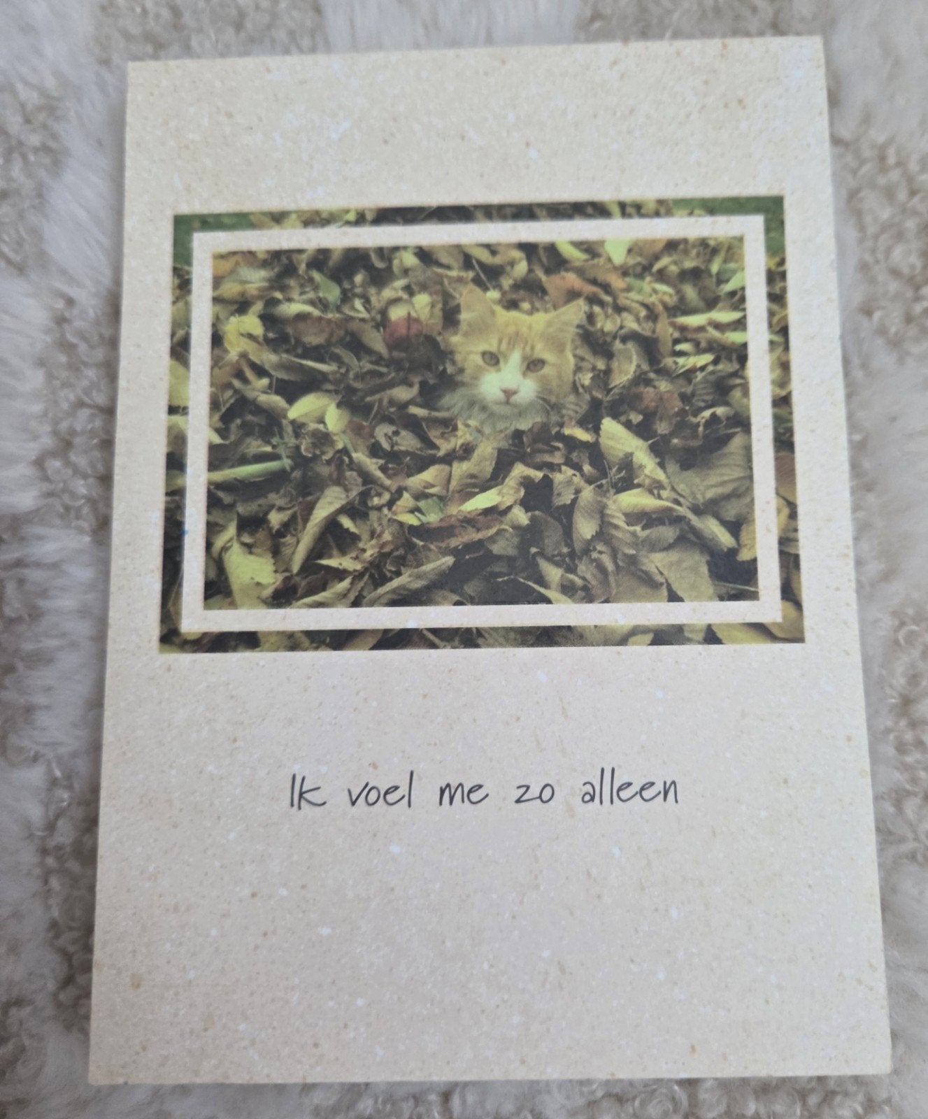 Ik voel me zo alleen - Kat tussen bladeren, Verzenden, Hond of Kat