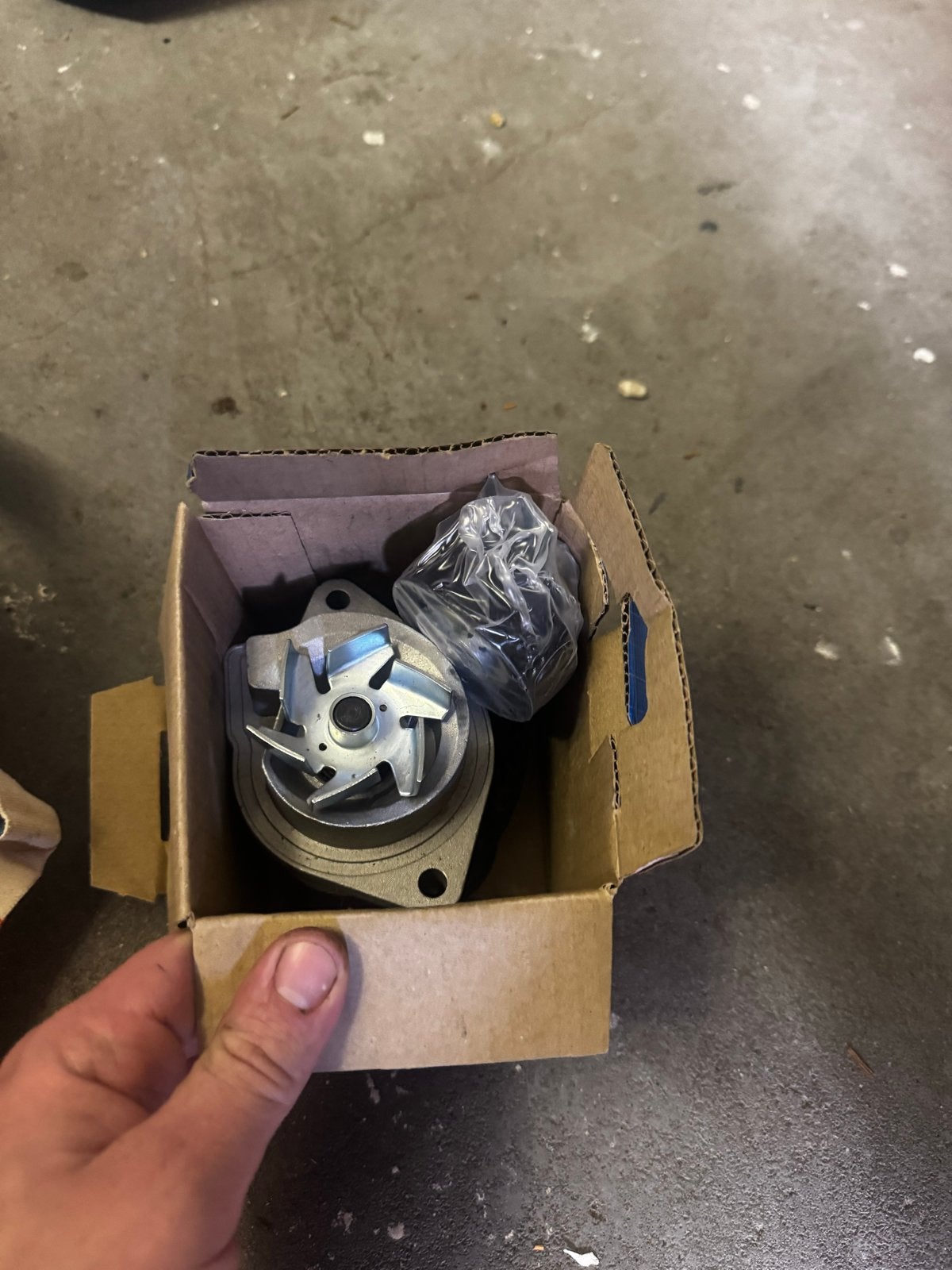 Distributieriem set met waterpomp en spanrol Golf 4, Ophalen of Verzenden, Nieuw, Volkswagen
