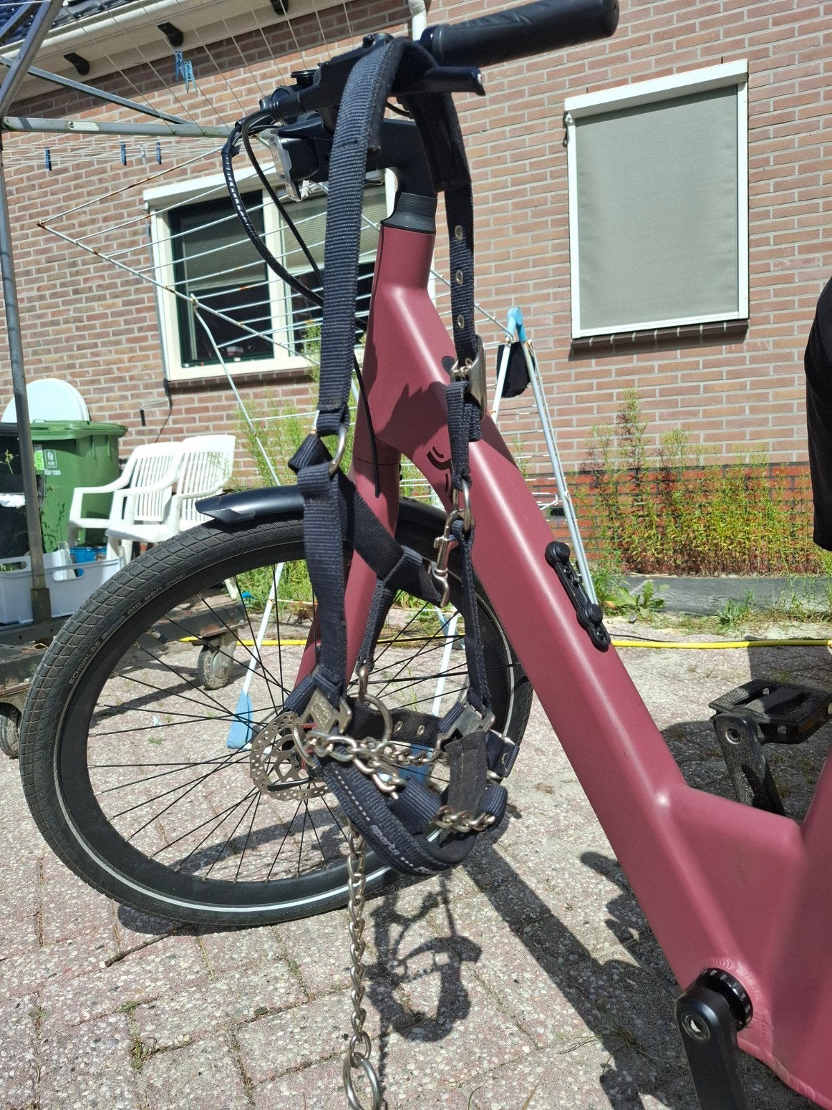 Halster maat pony, Ophalen, Nieuw