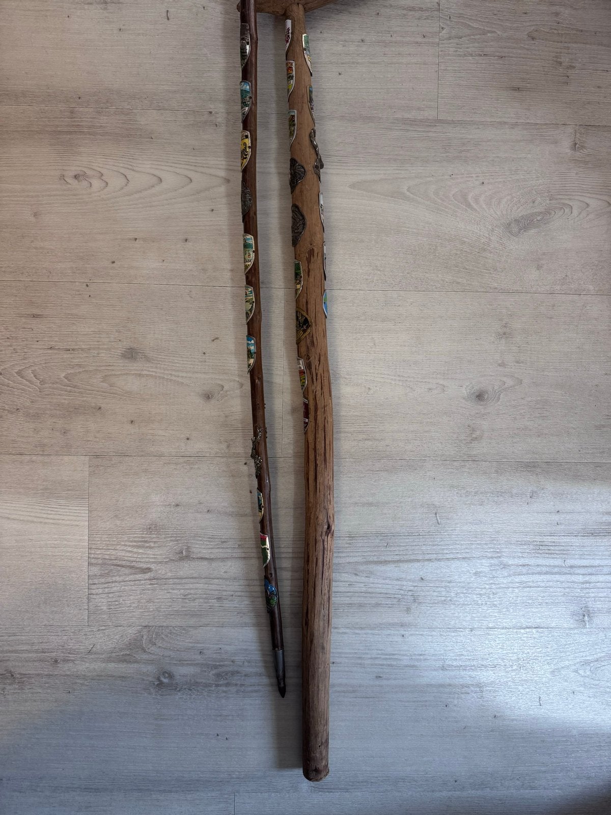 Twee houten antieke wandelstokken met schildjes, Ophalen of Verzenden, Gebruikt
