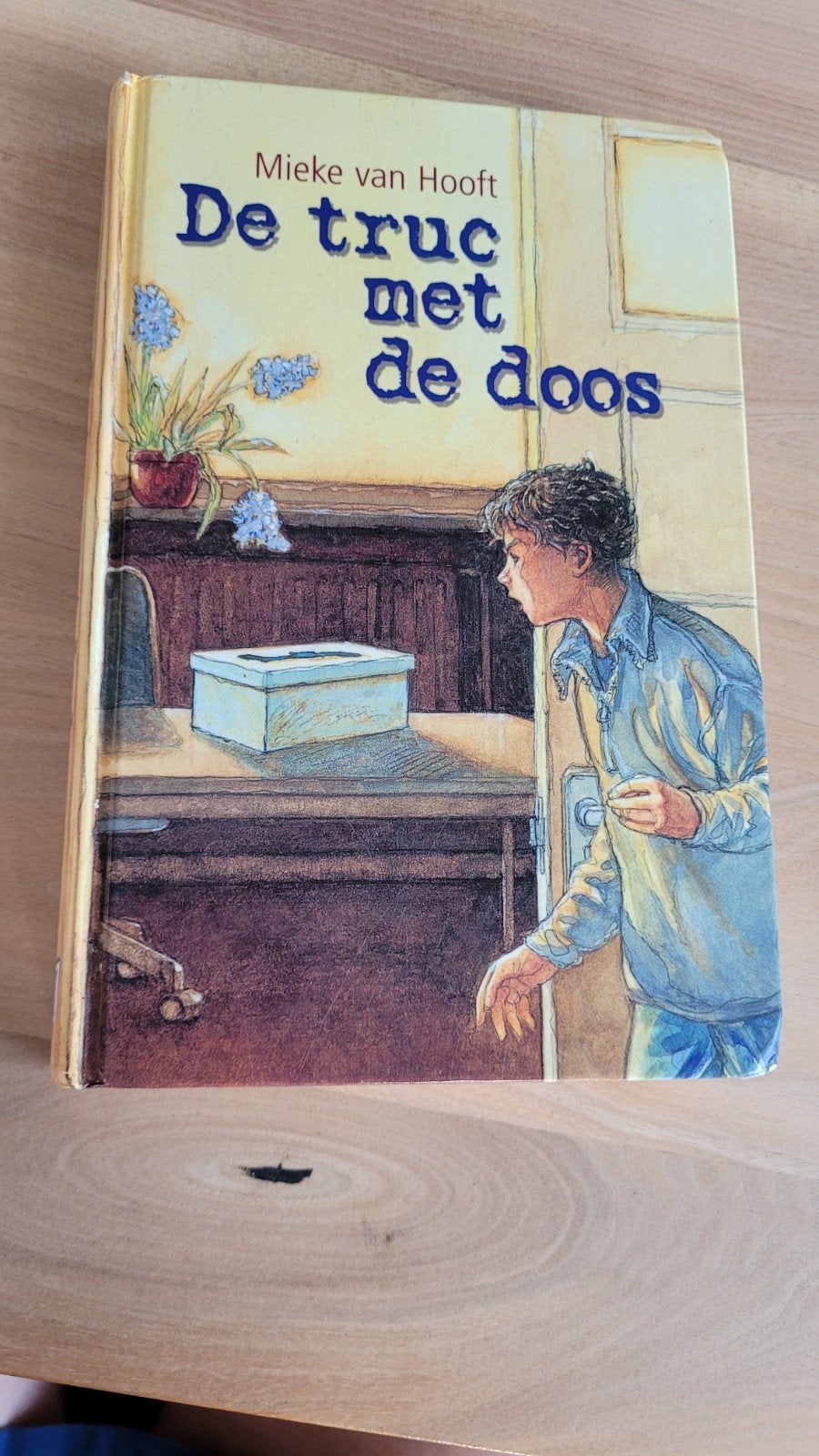 Mieke van Hooft - De truc met de doos, Ophalen of Verzenden, Zo goed als nieuw, Mieke van Hooft