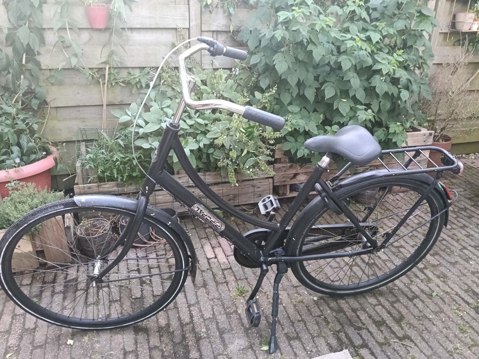 Popal Daily Dutch Basic Damesfiets - Zwart, Fietsen en Brommers, Fietsen | Dames | Damesfietsen, Terugtraprem, 50 tot 53 cm, Ophalen