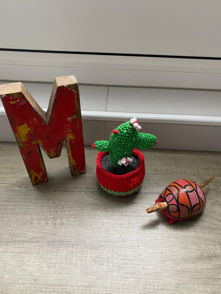 Houten letter M+gebreide cactus+houten gordeldier, set 12,50, Ophalen