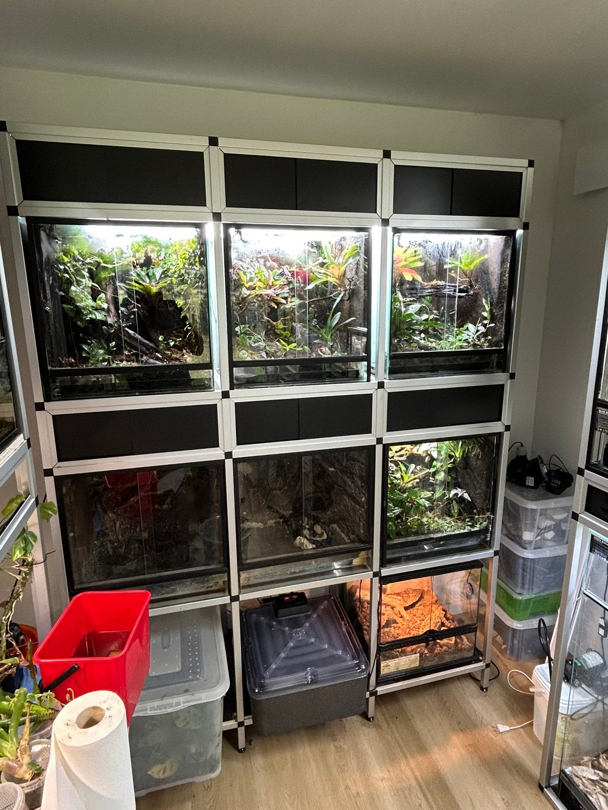 Terrarium stelling, Ophalen, Zo goed als nieuw
