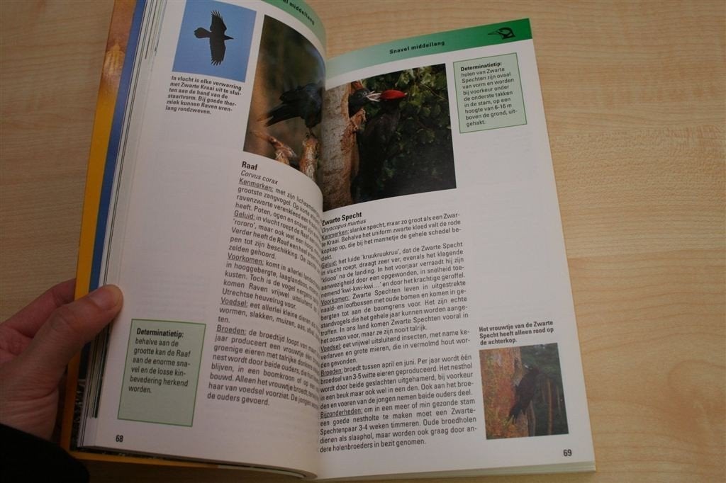 Vogels — Observeren, Herkennen & Beschermen in Beeld, Ophalen of Verzenden, Zo goed als nieuw, Vogels