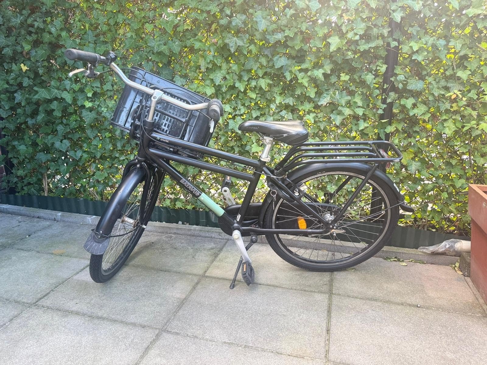 Batavus fiets met voordrager en mand, Ophalen, Terugtraprem, Gebruikt, Batavus
