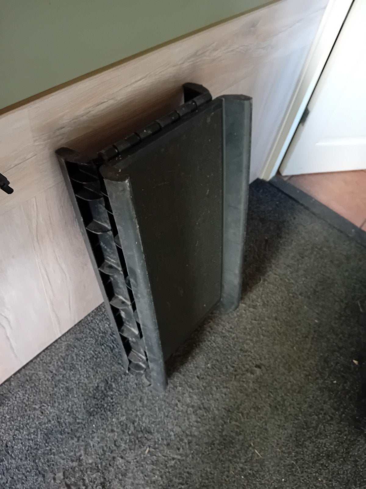 hondenloopplank, Ophalen of Verzenden, Gebruikt