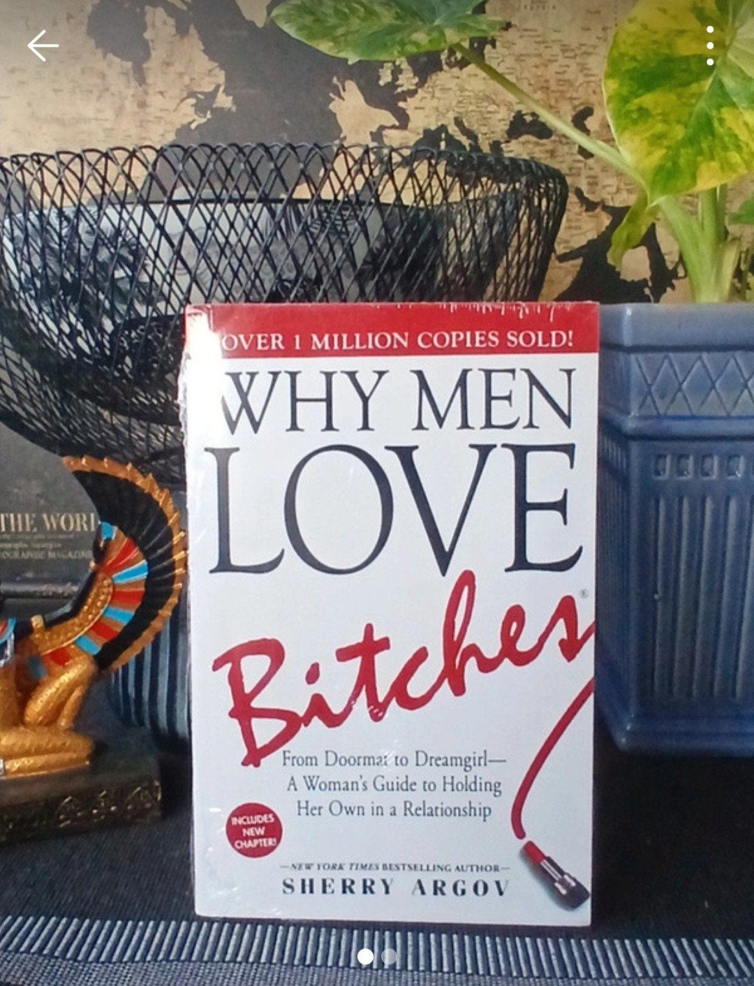 Why Men Love Bitches - Sherry Argov (Nieuw), Ophalen of Verzenden, Nieuw, Sherry Argov