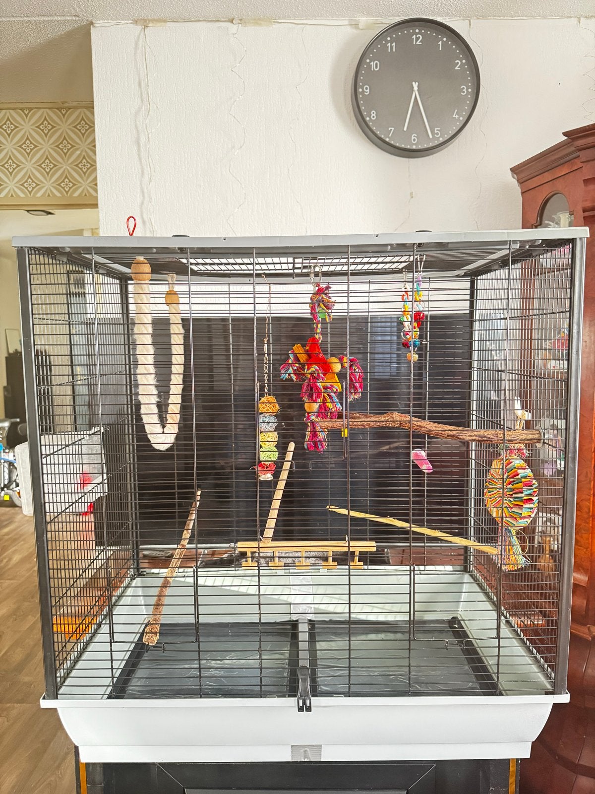 Kooi, Ophalen of Verzenden, Zo goed als nieuw, Overige materialen, Vogelkooi