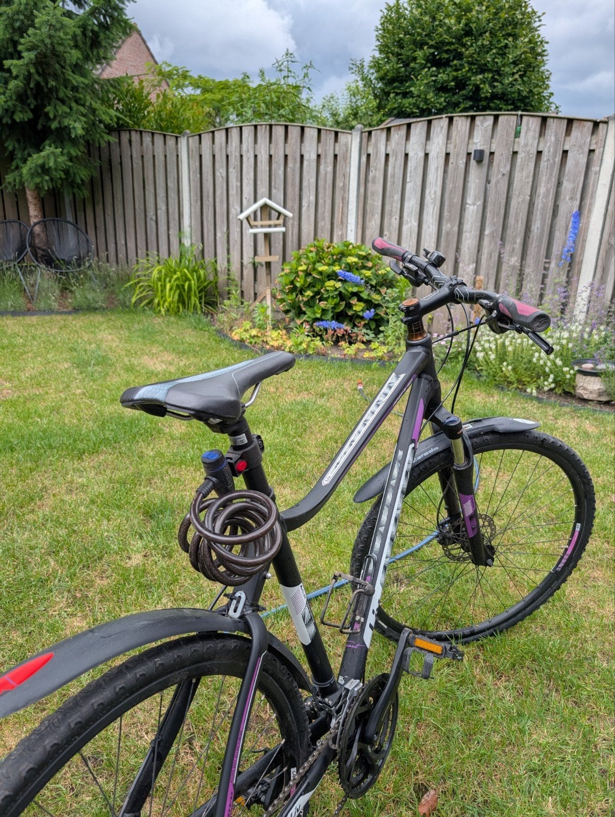 Liv rove dames mountainbike, Ophalen, Giant, Zo goed als nieuw, Meer dan 20 versnellingen