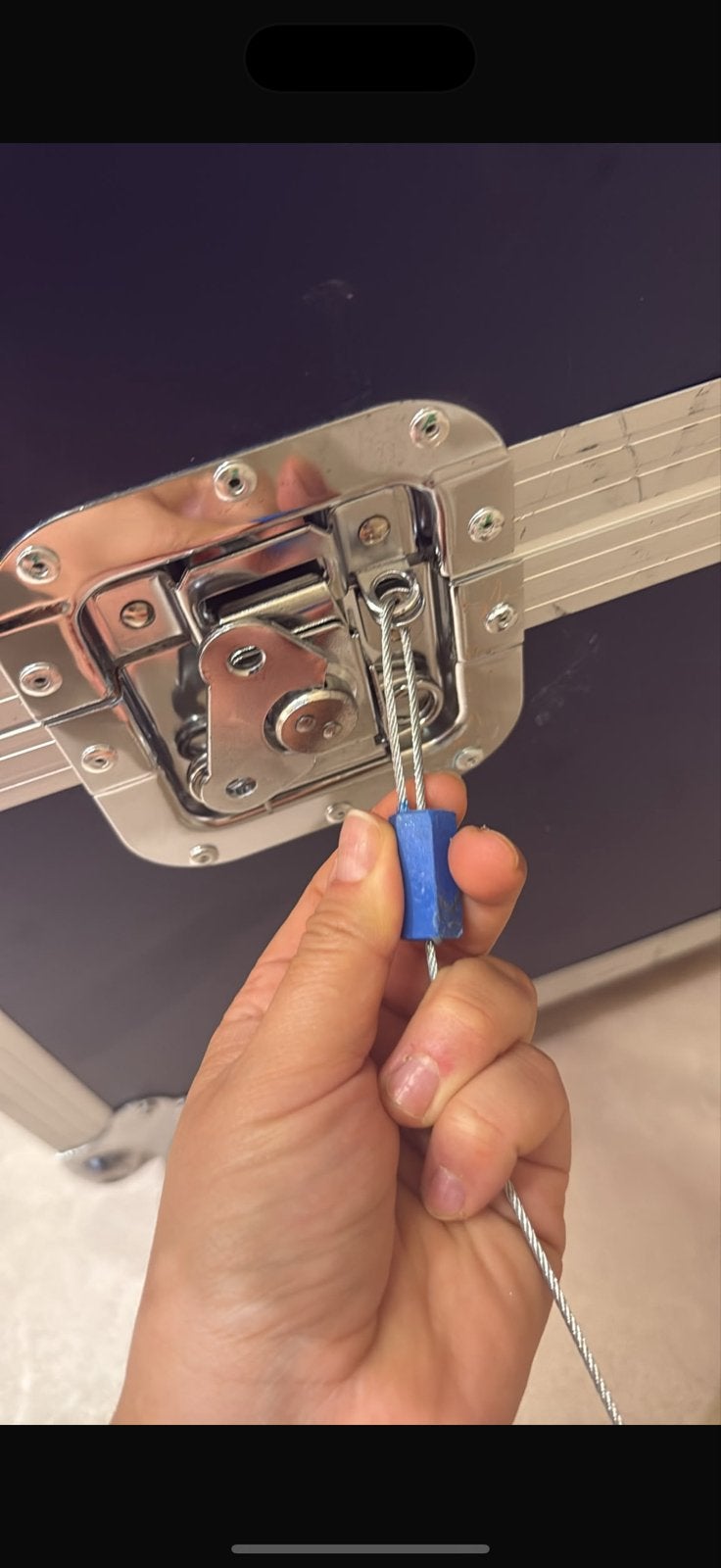 2x Flightcase vlinderslot met kabel en zegel, Ophalen of Verzenden, Zo goed als nieuw, Rvs, Slot