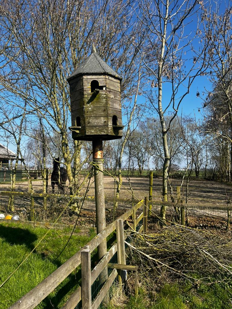 Mooie  Duiventil, Ophalen of Verzenden, Zo goed als nieuw, Hout, Vogelkooi
