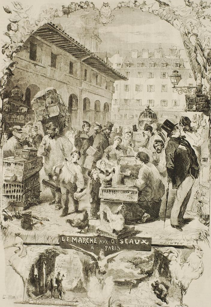 De vogelmarkt Parijs - Antieke illustratie 19e eeuw, Verzenden, Voor 1940, Zo goed als nieuw