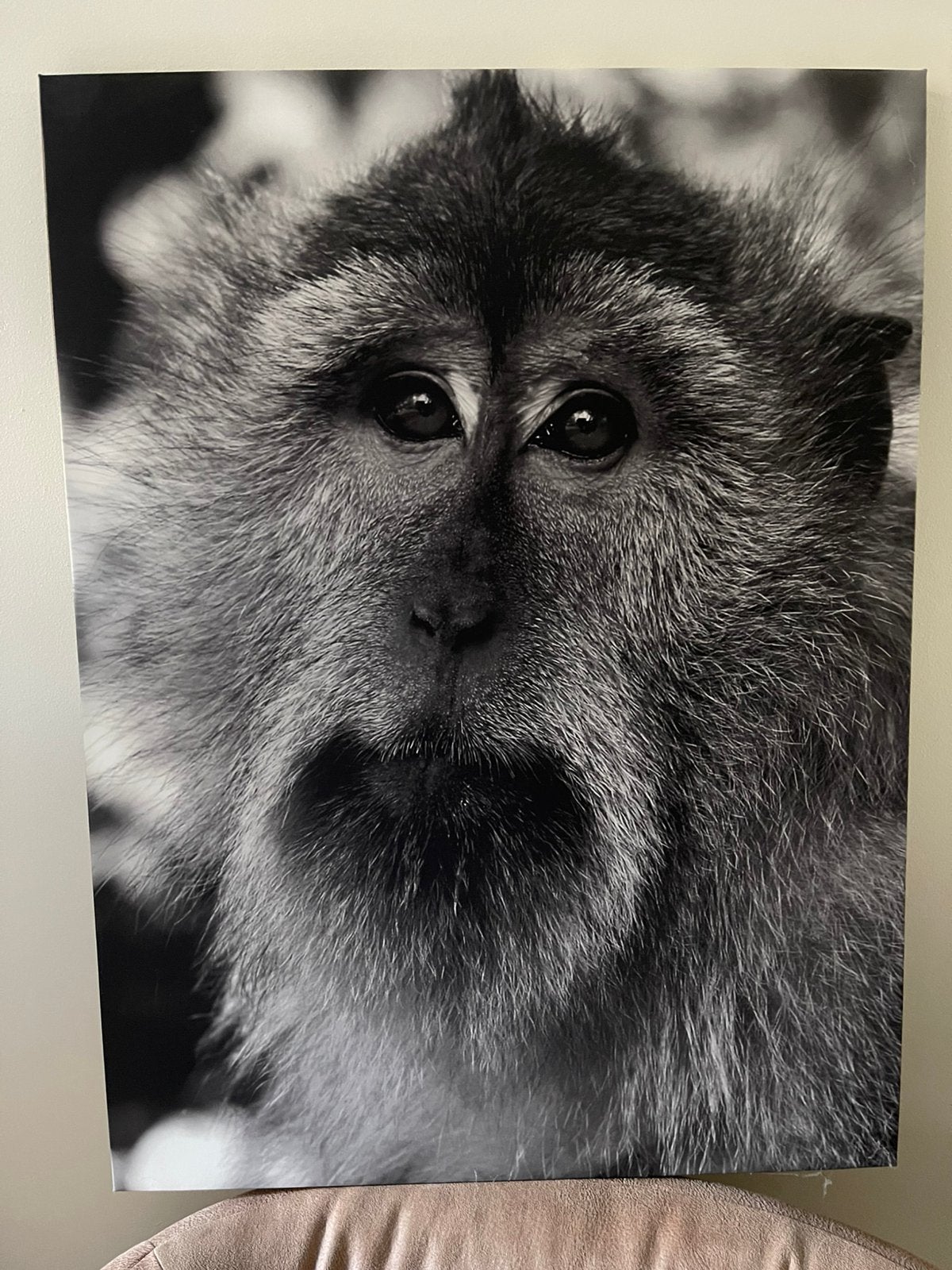 Foto op linnen 60x80, Ophalen, Zo goed als nieuw