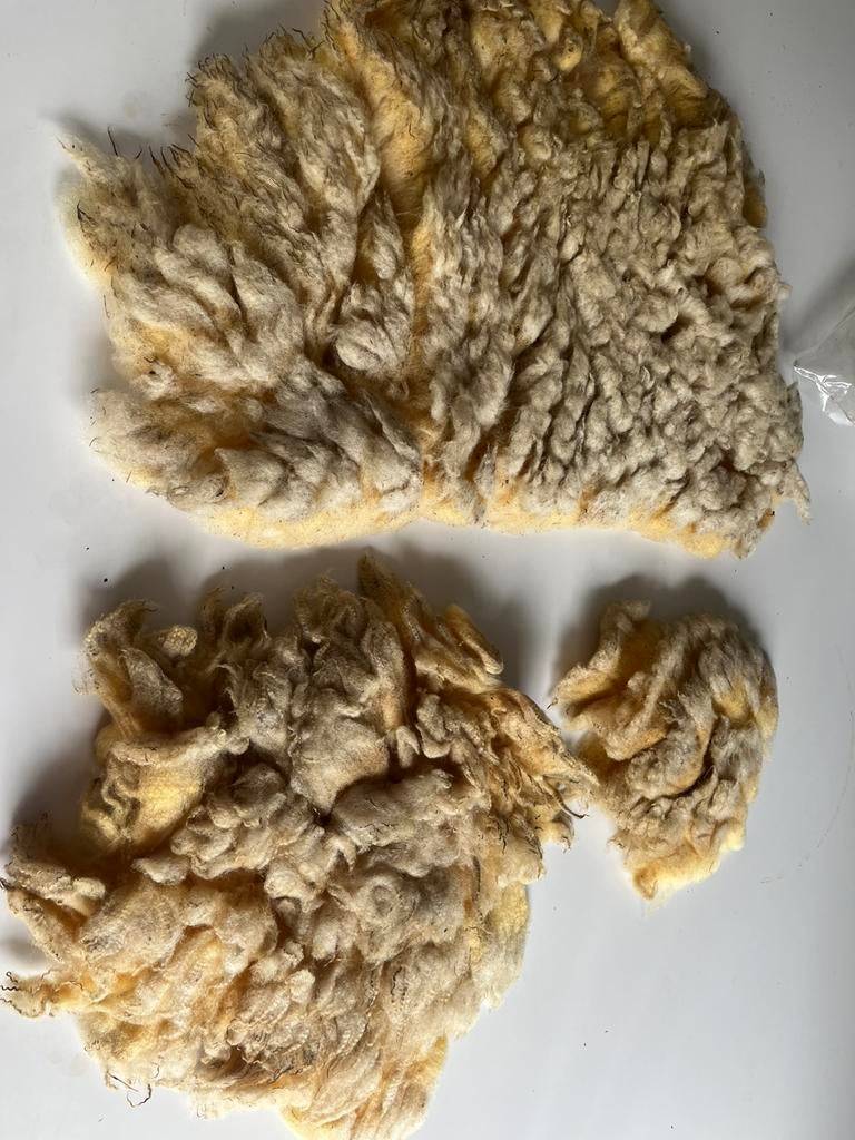 Swifter wol 530 gram geschikt voor zitkussen van te vilten, Ophalen of Verzenden, Zo goed als nieuw, Spinwol