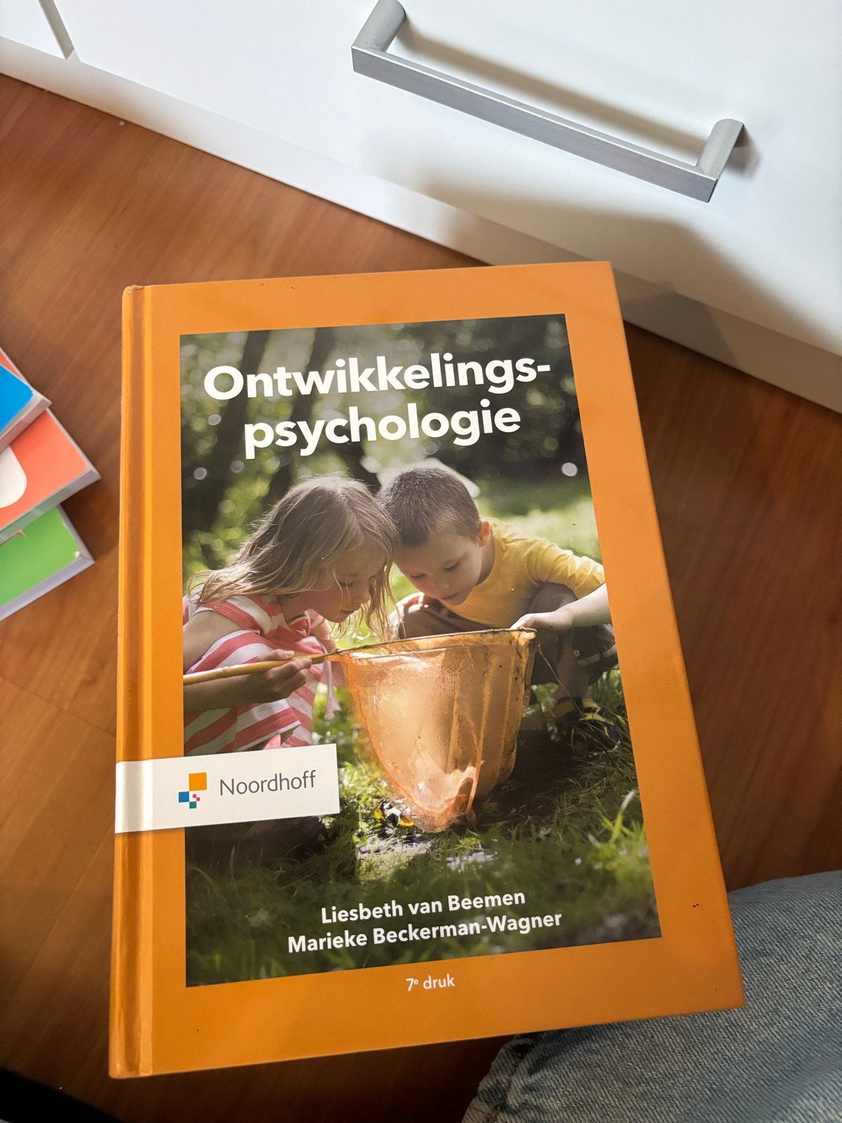 Ontwikkelingspsychologie - Liesbeth van Beemen, Ophalen of Verzenden, Zo goed als nieuw, Ontwikkelingspsychologie