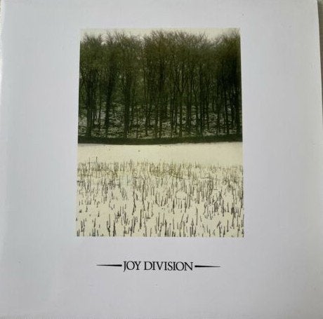 JOY DIVISION SHE'S LOST CONTROL -COVER ONLY post punk repro, Cd's en Dvd's, Vinyl Singles, Ophalen, Gebruikt, Overige typen