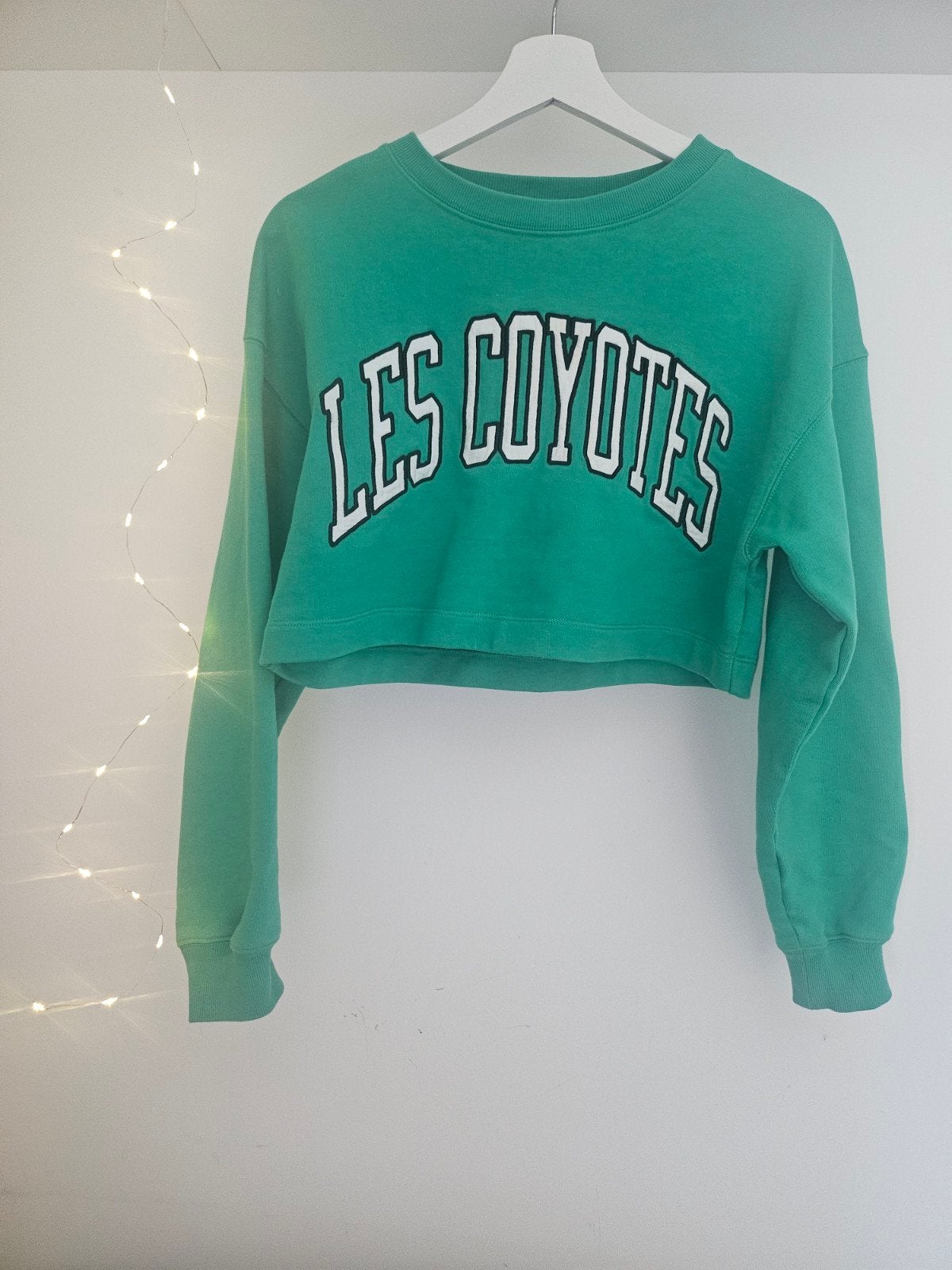 Les Coyotes de Paris trui XS, Ophalen, Zo goed als nieuw, Maat 34 (XS) of kleiner, Groen