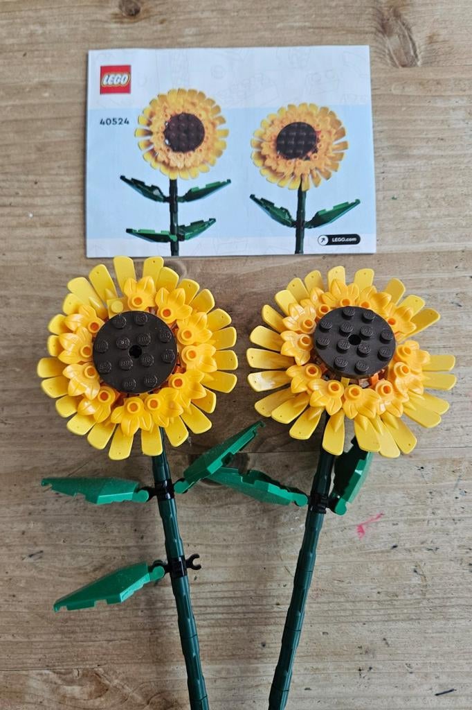 40524 lego bloemen, Ophalen