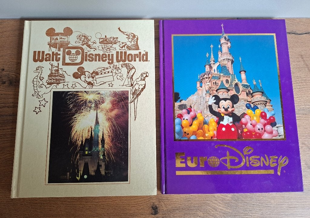 Twee mooie Disney boeken zie omschrijving en foto's, Ophalen of Verzenden, Overige figuren, Zo goed als nieuw, Overige typen
