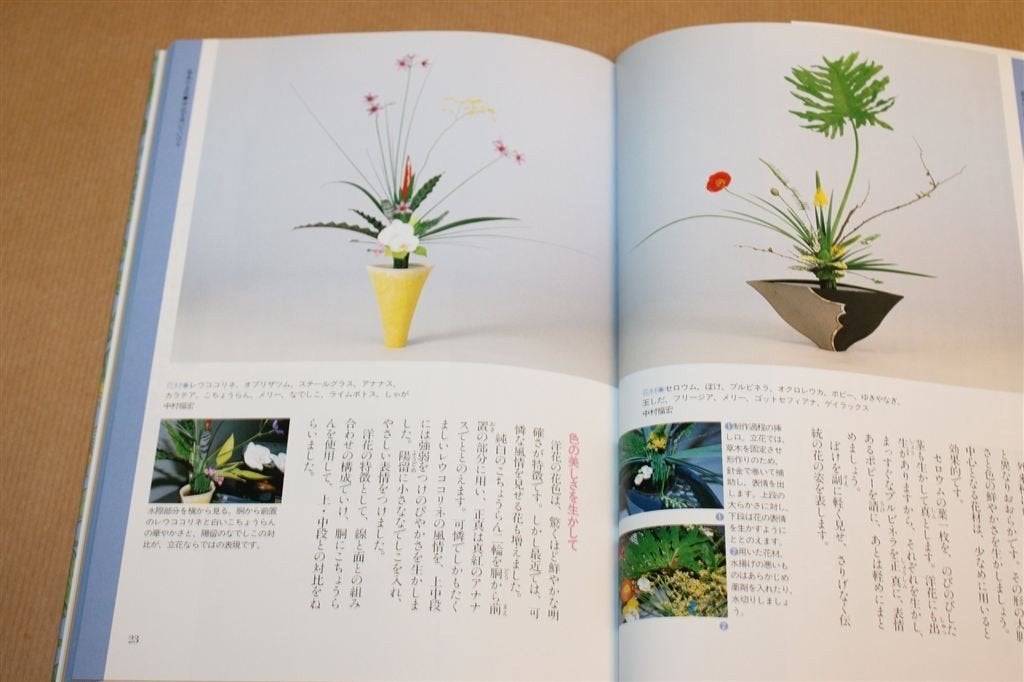 Ikenobo Ikebana — Rikka Stijl Deel 3, in het Japans, Ophalen of Verzenden, Zo goed als nieuw, Tekenen en Schilderen