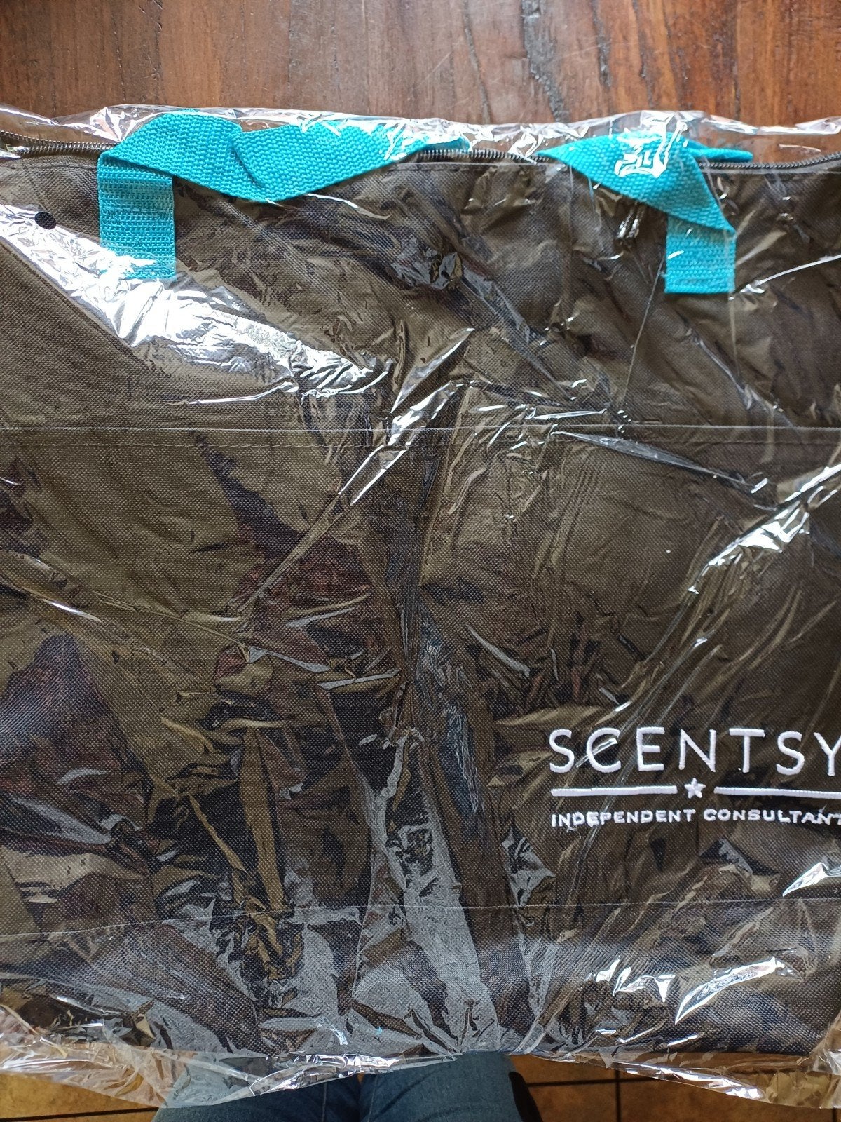 Nieuwe Scentsy koeltas en meer, Ophalen of Verzenden, Nieuw