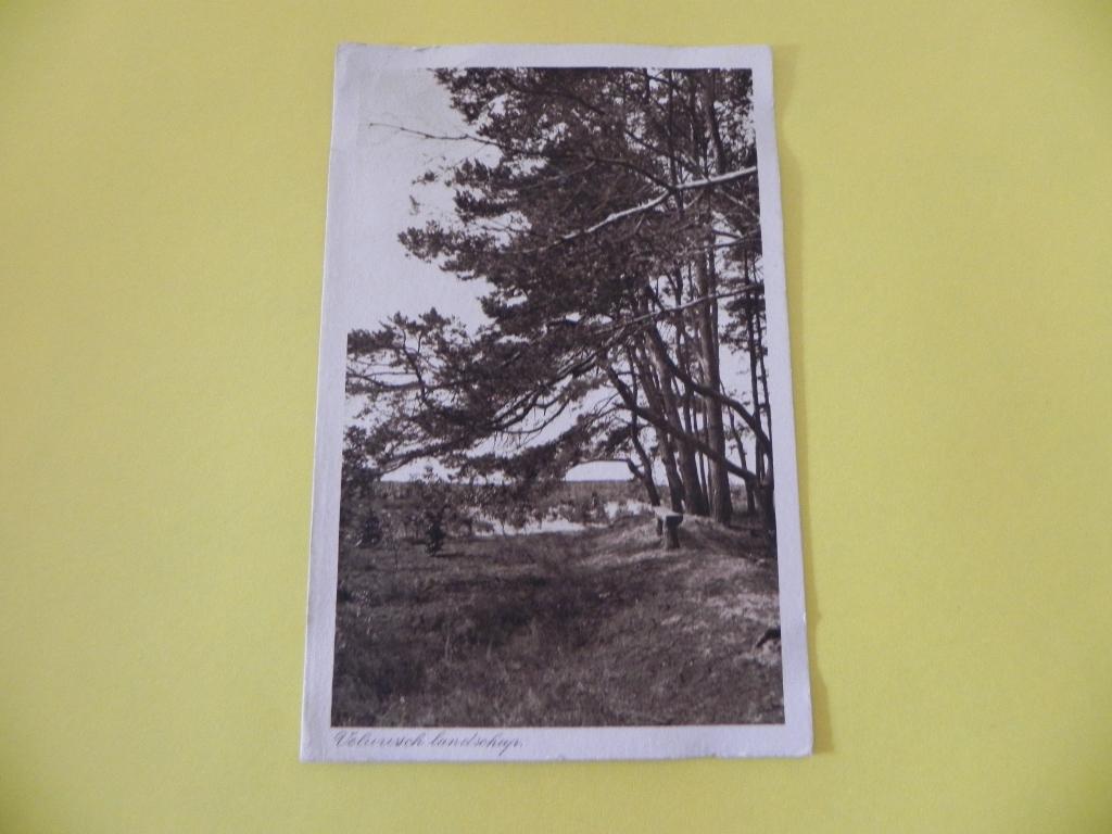 Ansicht Veluws Landschap., Ophalen of Verzenden, 1920 tot 1940, Gelopen, Gelderland