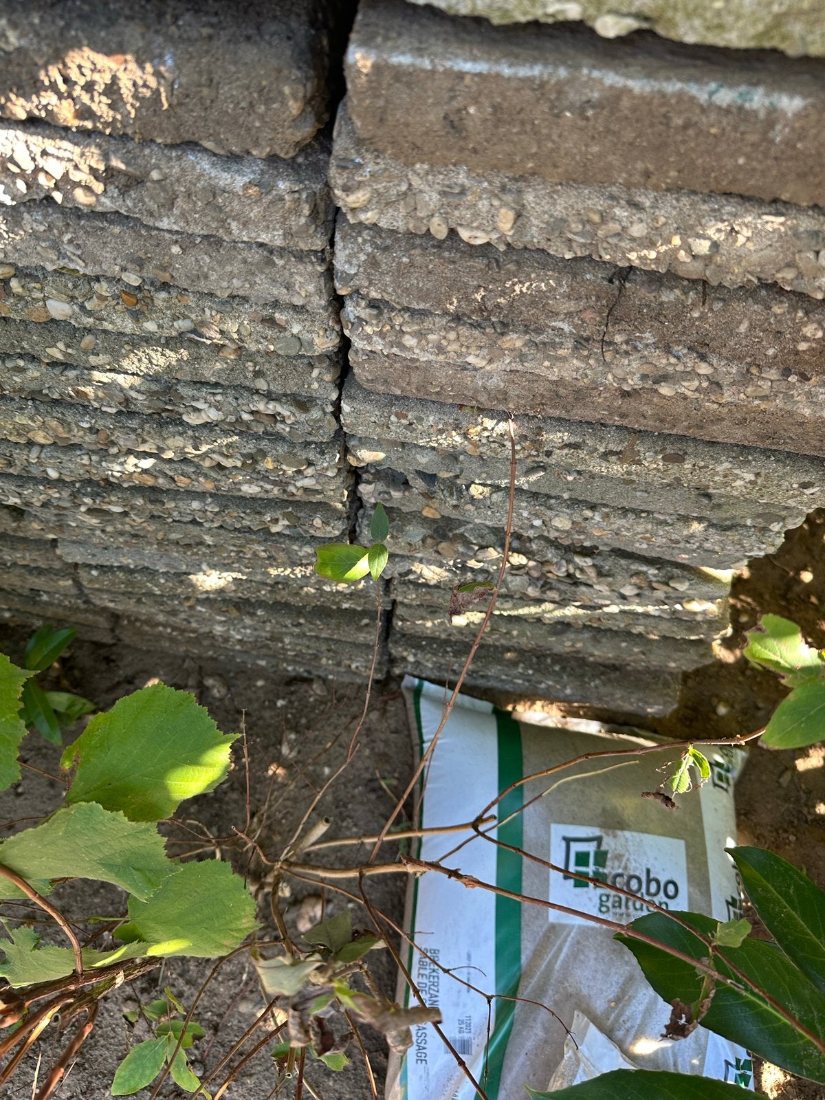 Stenen gratis +- 200, Ophalen, Gebruikt, 10 m² of meer, Beton