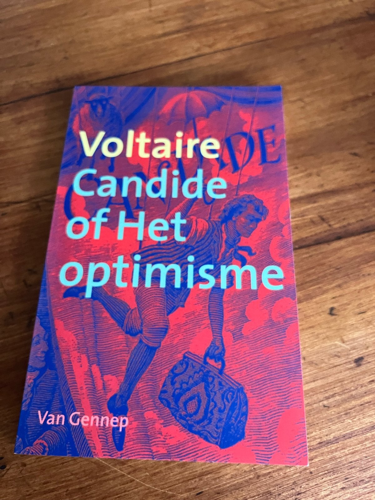 Voltaire - Candide of Het optimisme (Van Gennep), Ophalen of Verzenden, Zo goed als nieuw, Nederland