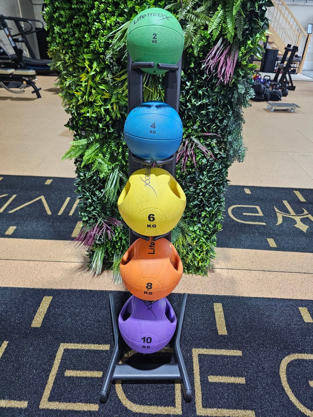 Set Lifemaxx medicijnballen met rek - 2 t/m 10 kg, Ophalen, Zo goed als nieuw, Benen, Medicijnbal