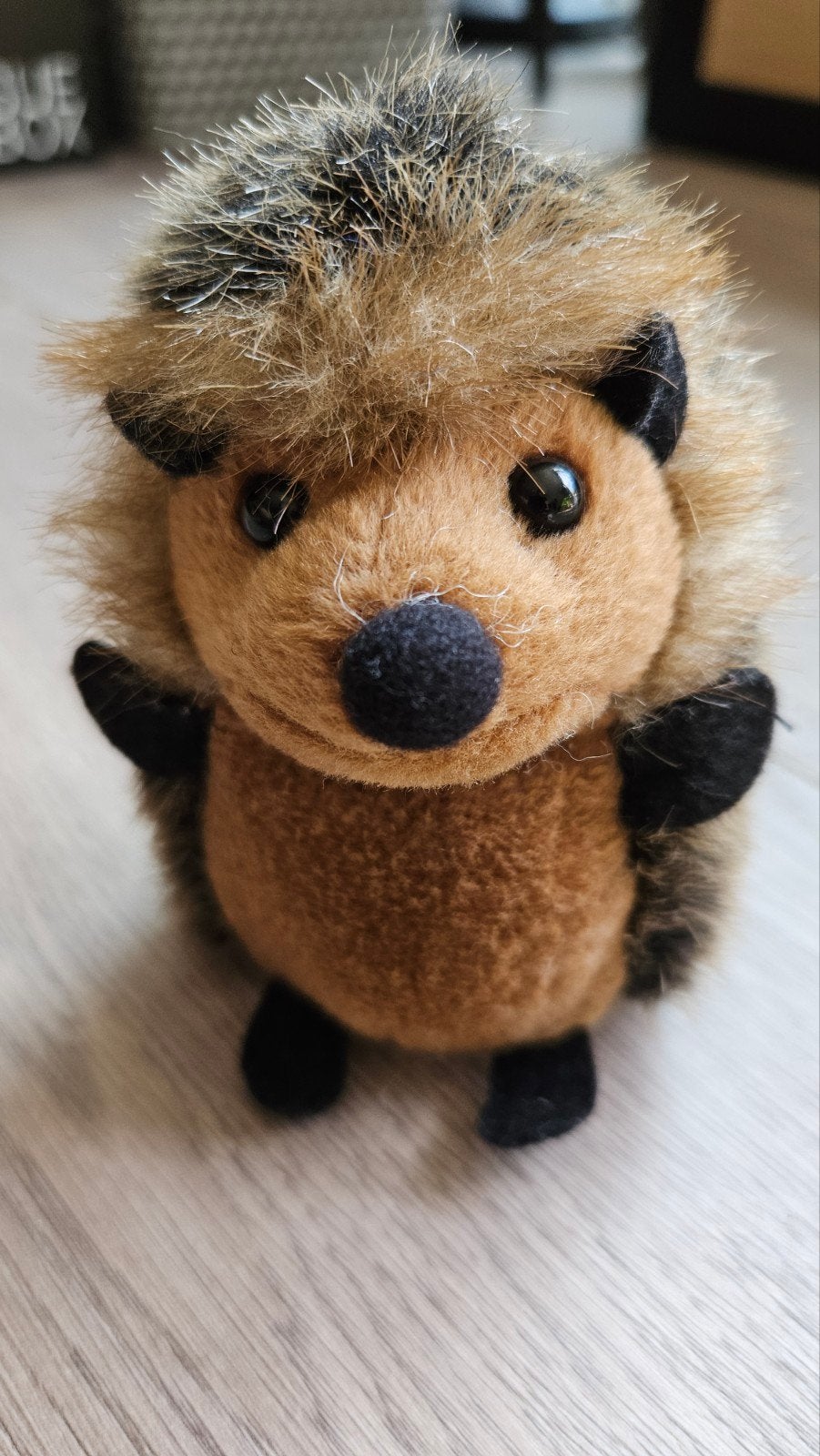 Egel knuffel, Ophalen of Verzenden, Overige typen