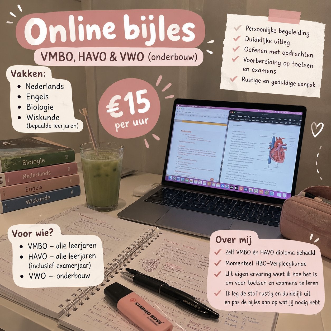 ONLINE BIJLES VMBO, HAVO & VWO – €15 PER UUR, Privéles, Bijles