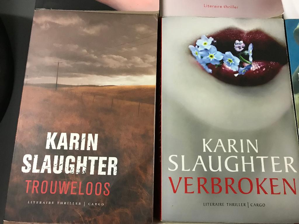 T.K. nog 17 Boeken van Karin Slaughter Zie actuele lijst, Ophalen of Verzenden, Gelezen, Karin Slaughter, Wereld overig