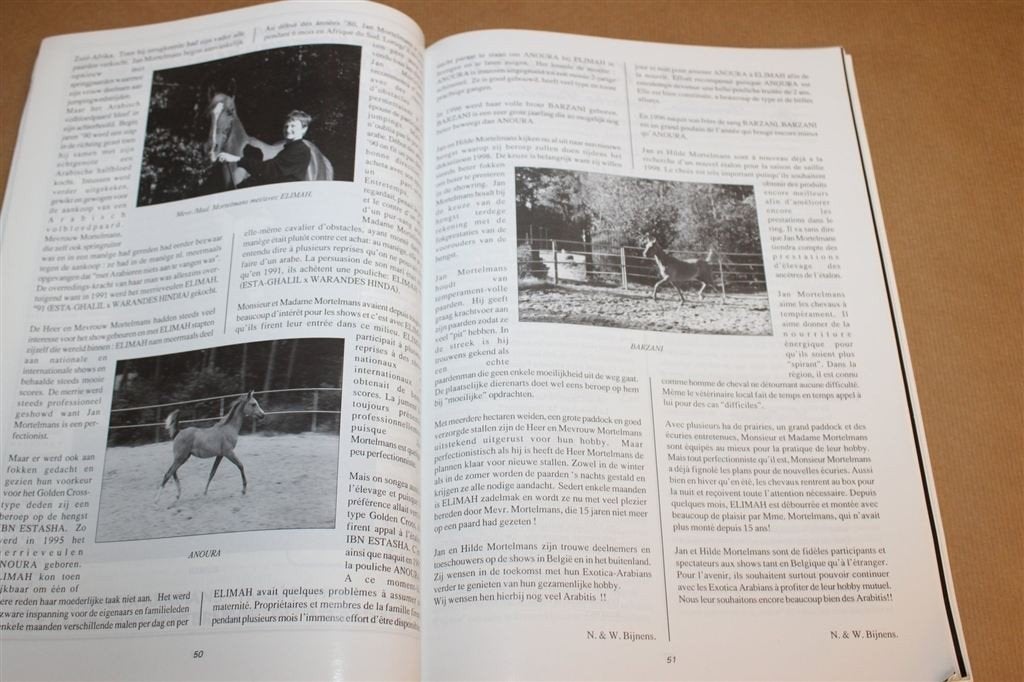 Het Arabisch Paard in België — Arabieren & Fokkerij 1997, Ophalen of Verzenden, Gelezen, Paarden of Pony's