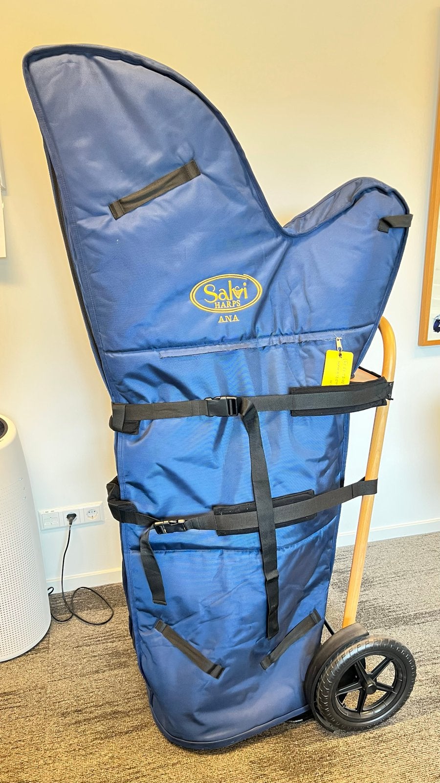 Salvi Ana Harp compleet met transporthoes en trolley, Muziek en Instrumenten, Snaarinstrumenten | Harpen, Ophalen, Gebruikt