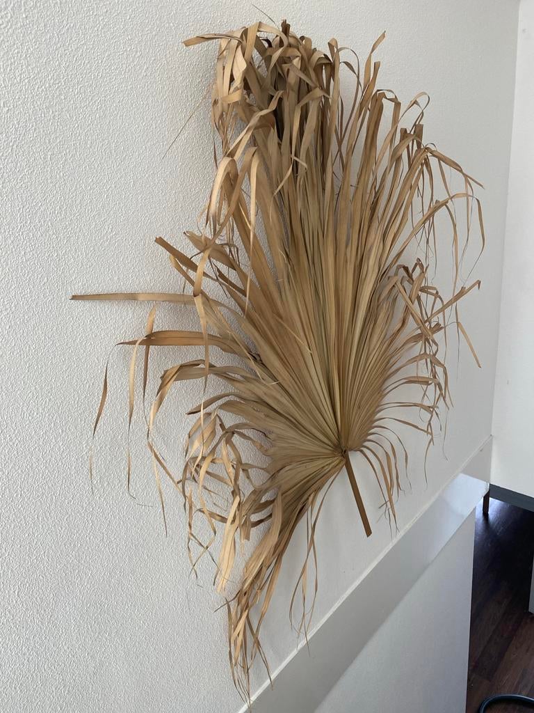 Gedroogd palmblad wanddecoratie - Boho/Botanisch, Gebruikt, Boho, Decoratieobject, Ophalen of Verzenden