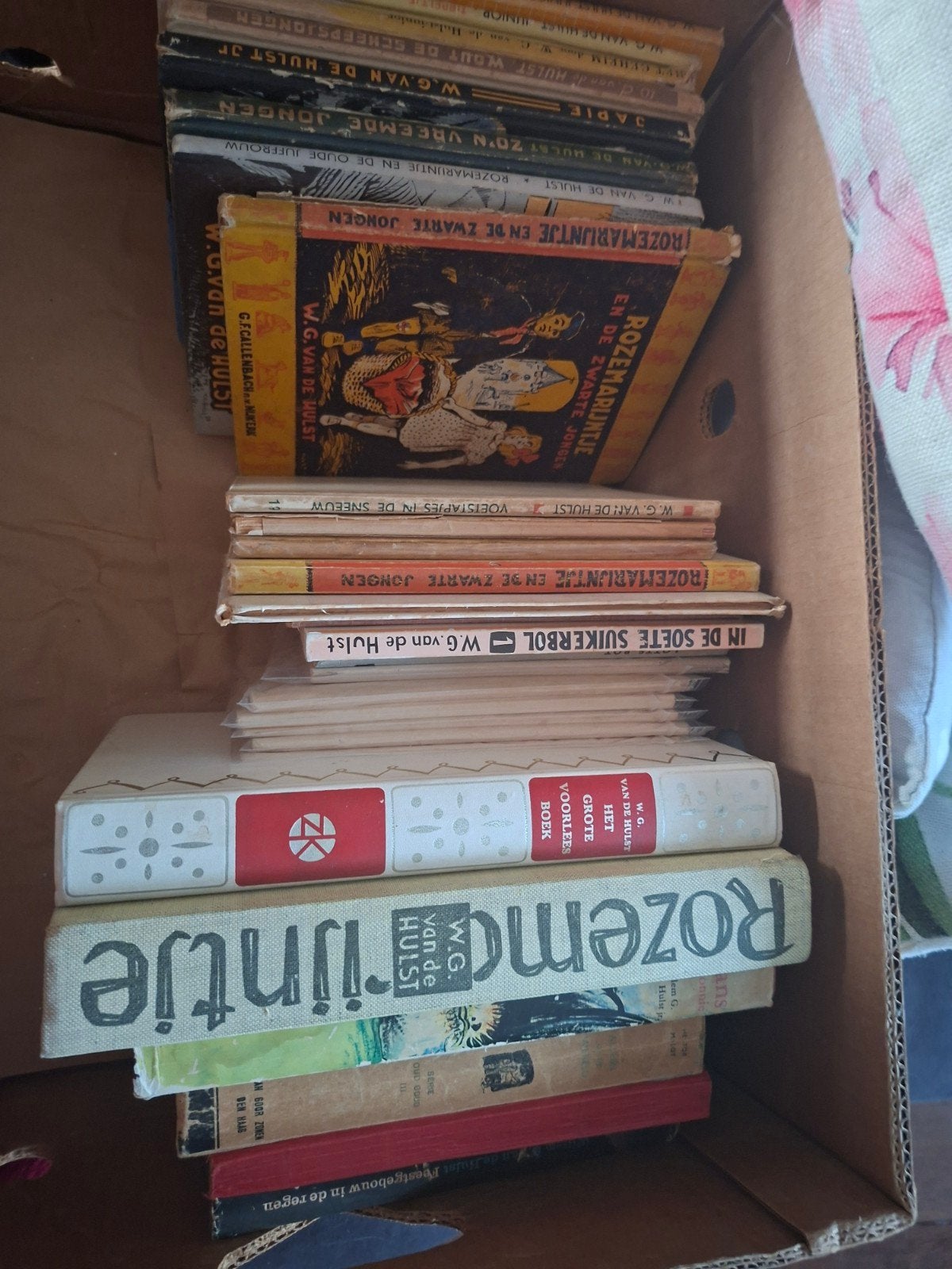 Doos vol boeken van W.G. van de Hulst, Boeken, Ophalen, Gelezen, W.G. van de Hulst, Fictie algemeen