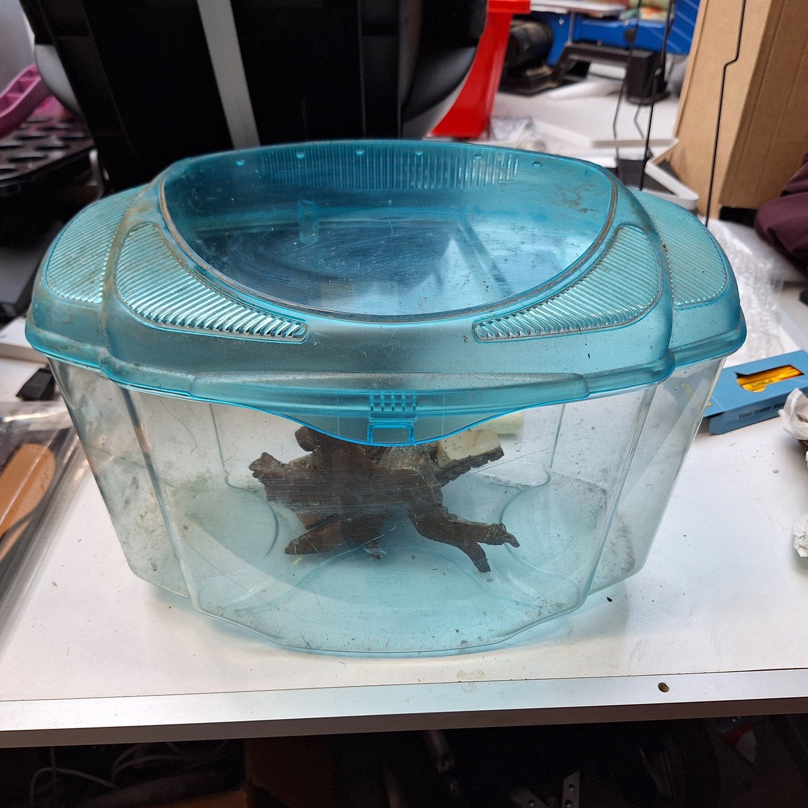 terrariumbak(je) ca 40 cm breed, Dieren en Toebehoren, Ophalen of Verzenden
