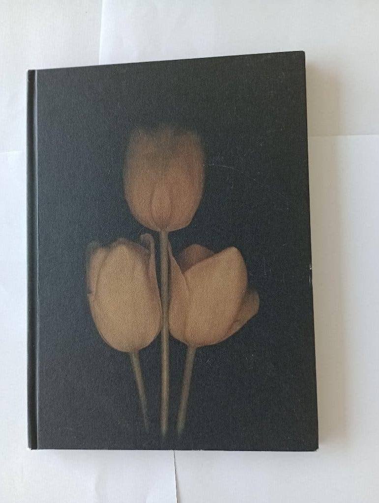 Tulipa L.Blok & Jasper Wiedeman foto's van tulpen Rietveldac, Fotografen, Ophalen of Verzenden, Zo goed als nieuw, Maria Heiden